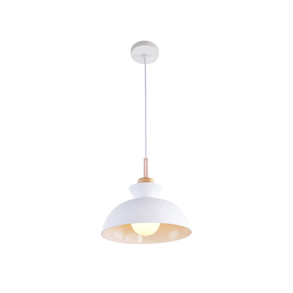 Modern Single Pendant Dome Light | Scandinavian Metal Hanging Lamp