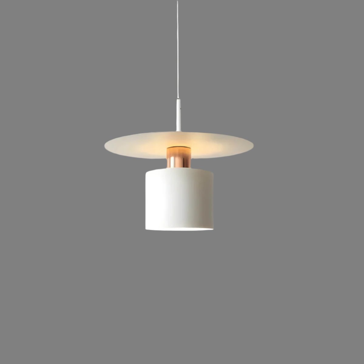 Pendant Light | Modern Minimalist Ceiling Lamp