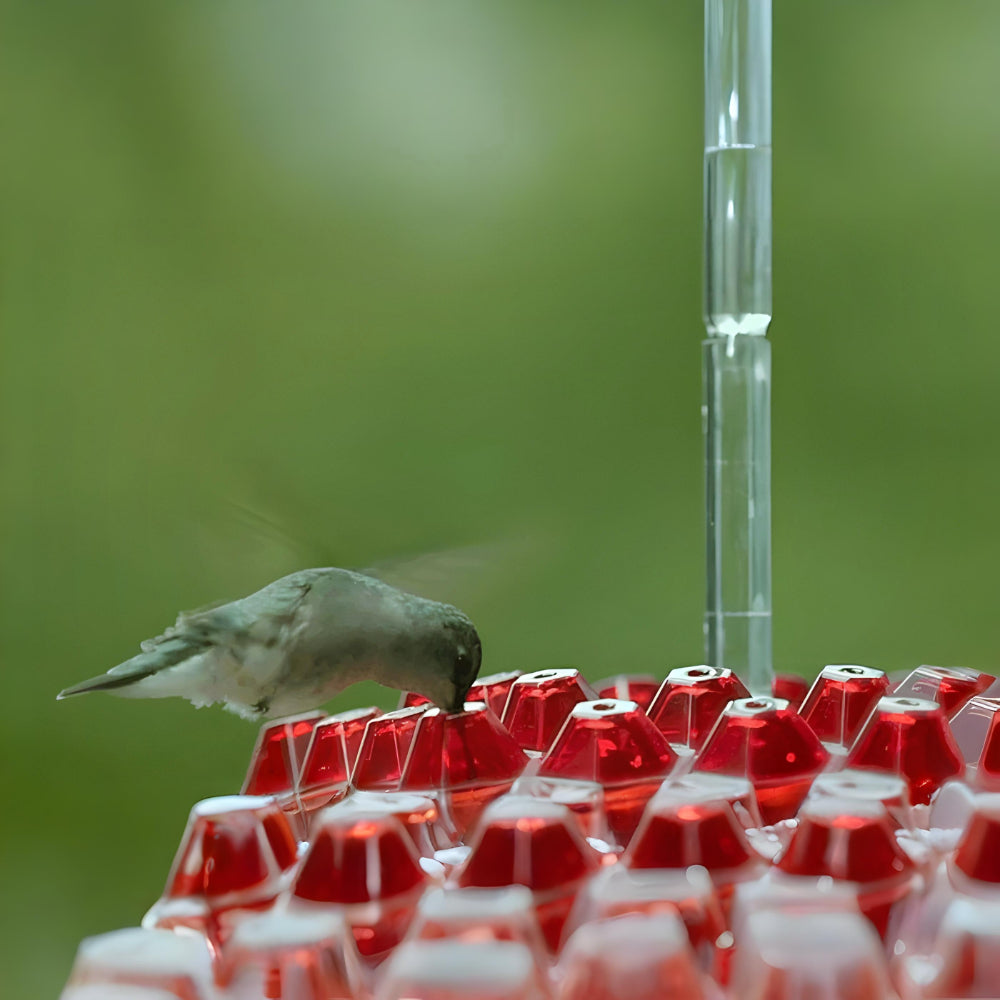 Kolibri-Futterstelle Nektar Hängende Garten-Futterstation