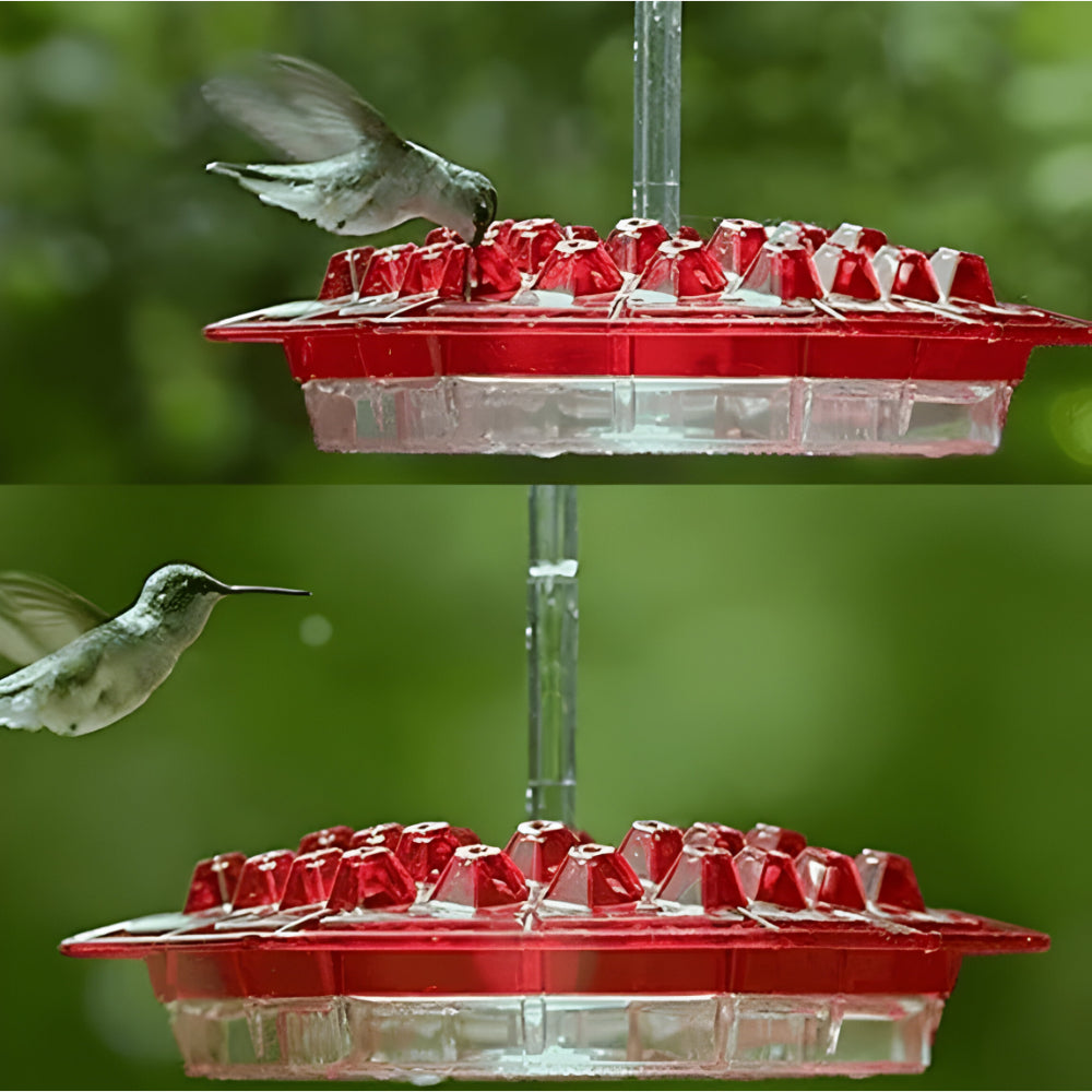 Kolibri-Futterstelle Nektar Hängende Garten-Futterstation