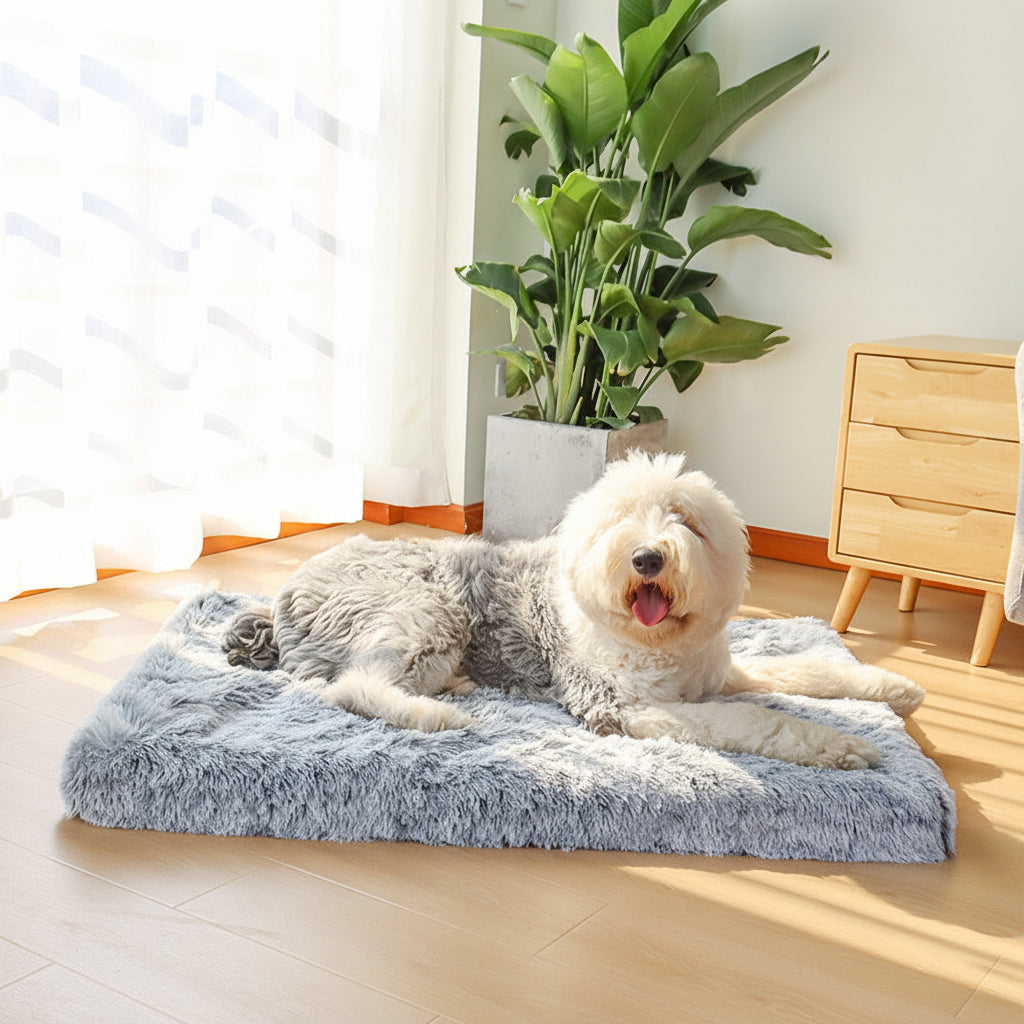 Dog Bed Washable Dog Mat Raised Edge Sleeping Cushion