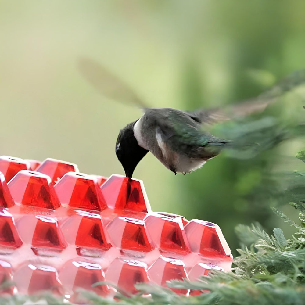 Kolibri-Futterstelle Nektar Hängende Garten-Futterstation