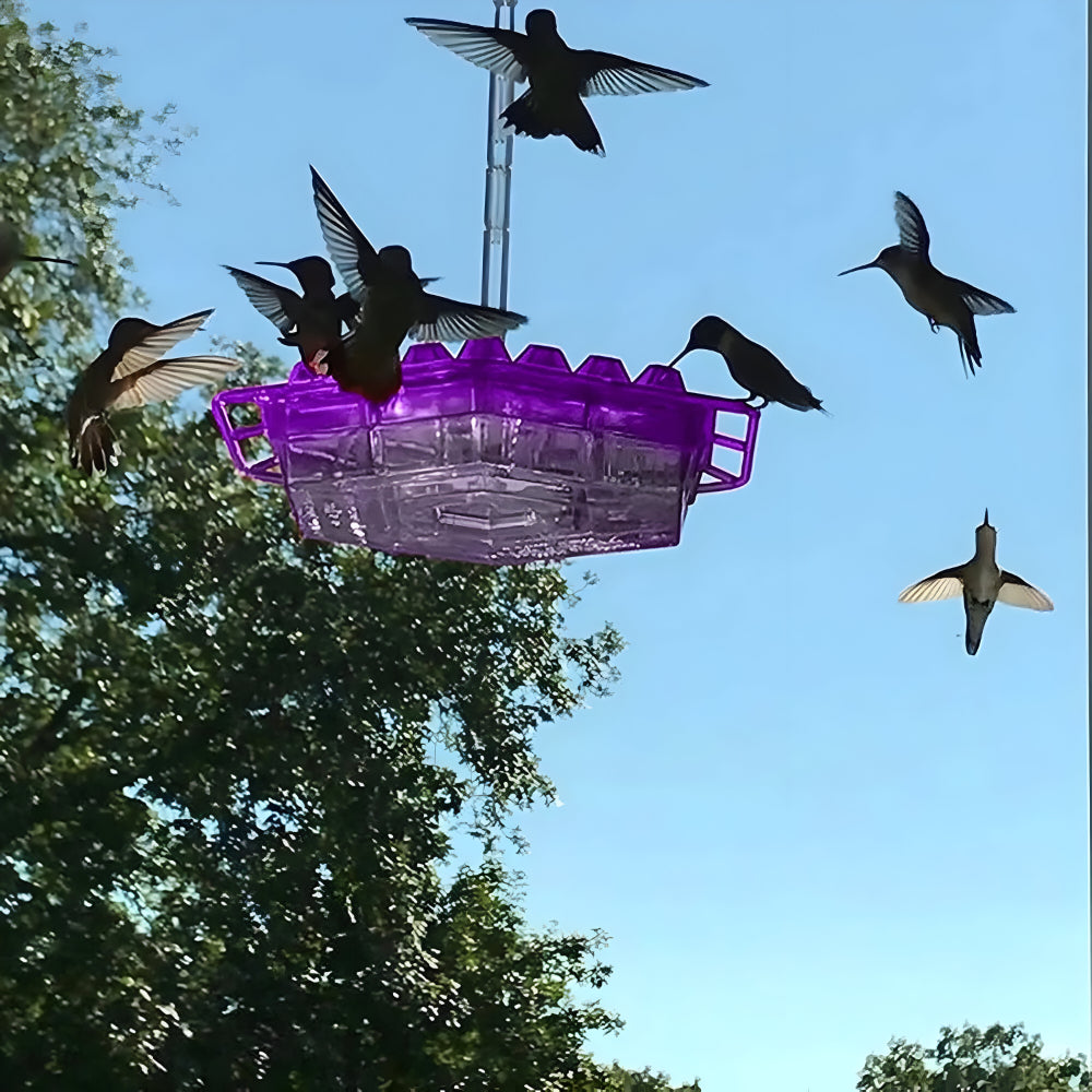 Kolibri-Futterstelle Nektar Hängende Garten-Futterstation