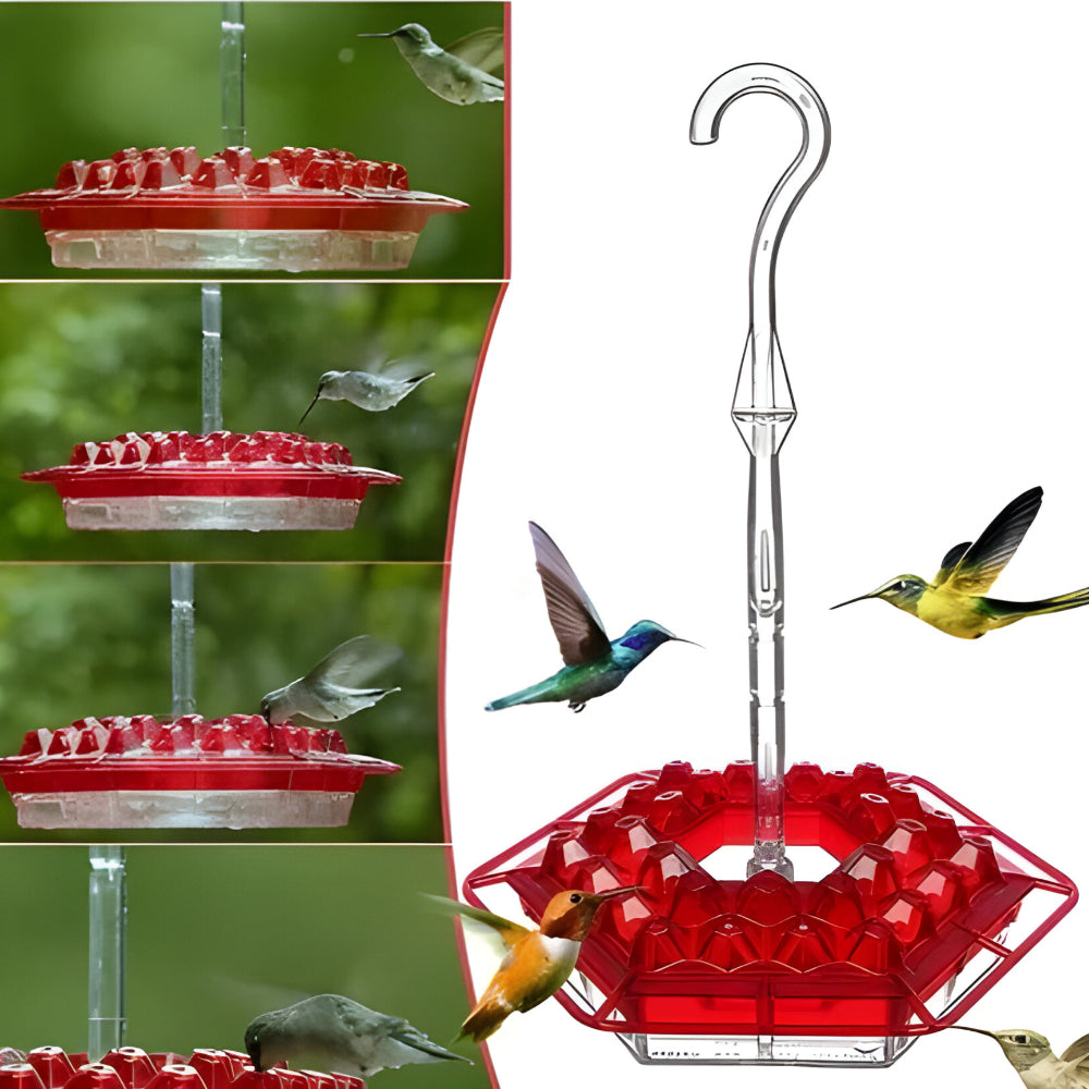 Kolibri-Futterstelle Nektar Hängende Garten-Futterstation