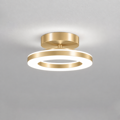 Acrylic Round LED Ceiling Light | Modern Hallway & Entrance Fixture