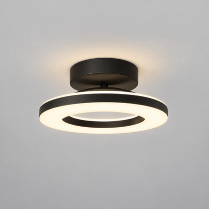 Acrylic Round LED Ceiling Light | Modern Hallway & Entrance Fixture
