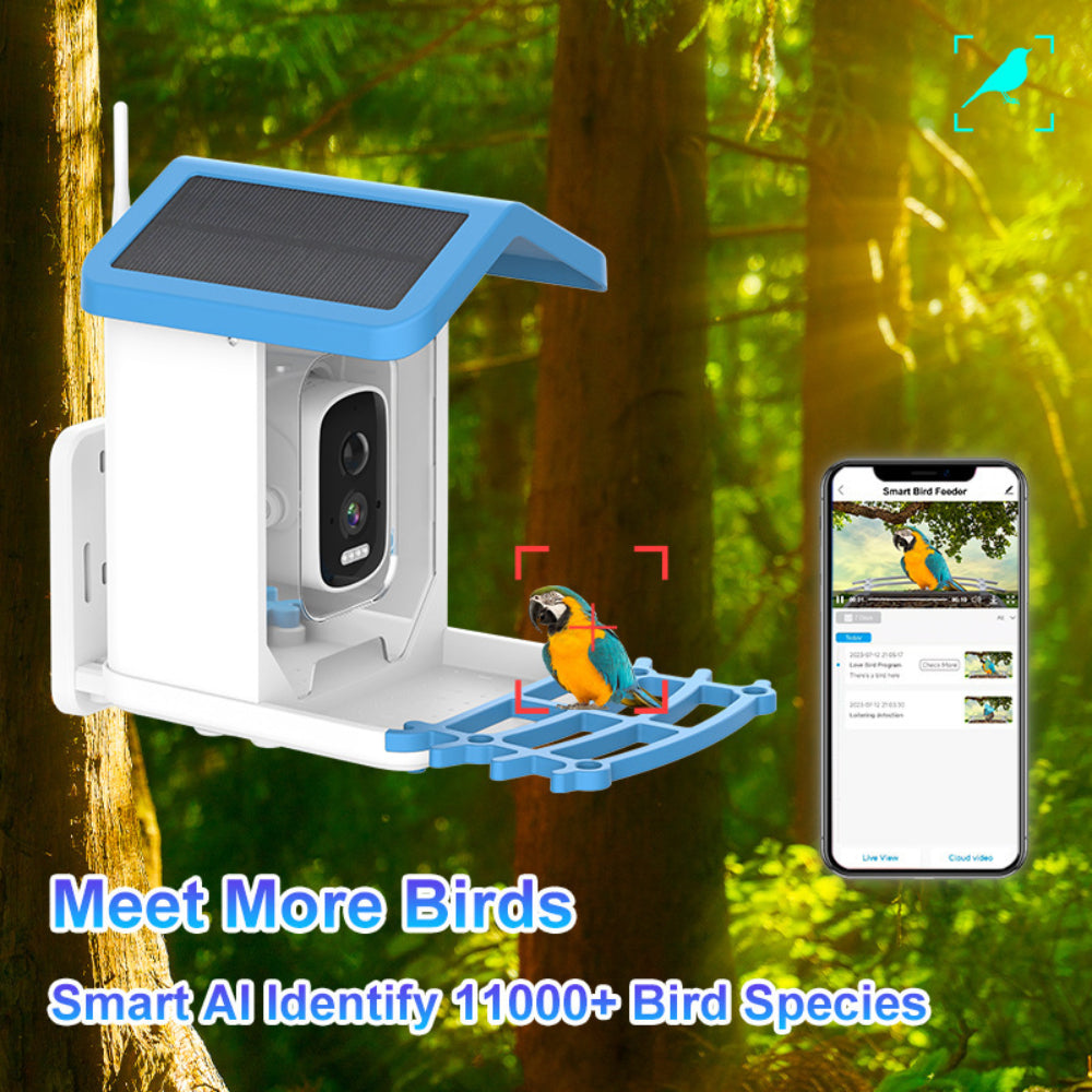Vogelfutterhaus Kamera Außen Solar Dach Intelligentes Video Gerät