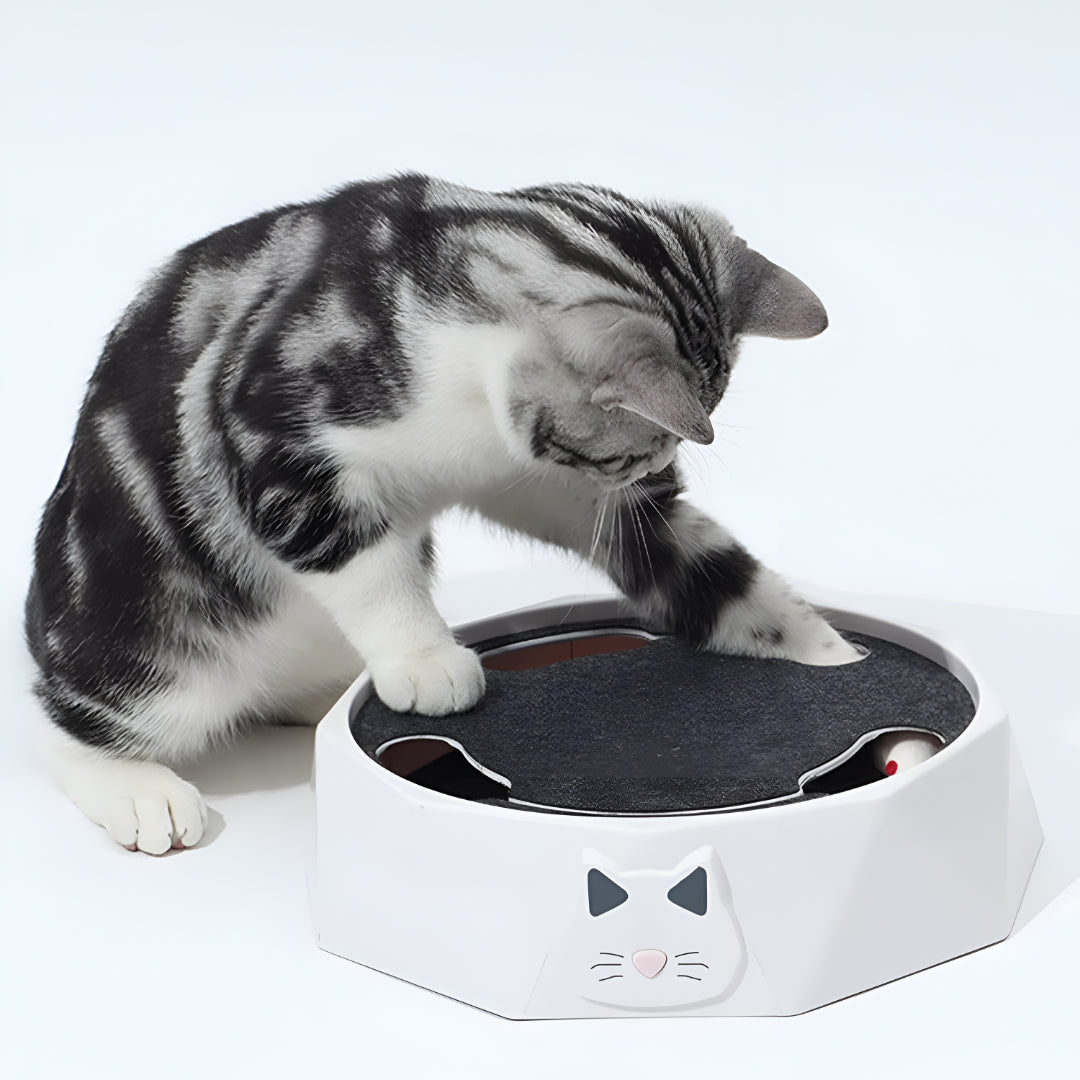 Centro de Atividades Interativo com Rato e Tapete de Arranhar para Gatos