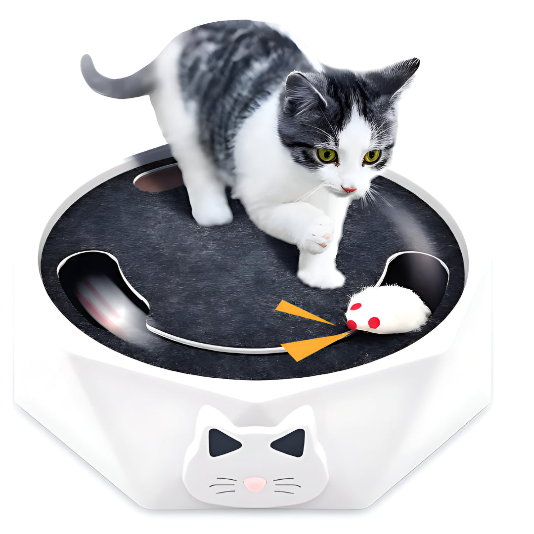 Centro de Atividades Interativo com Rato e Tapete de Arranhar para Gatos