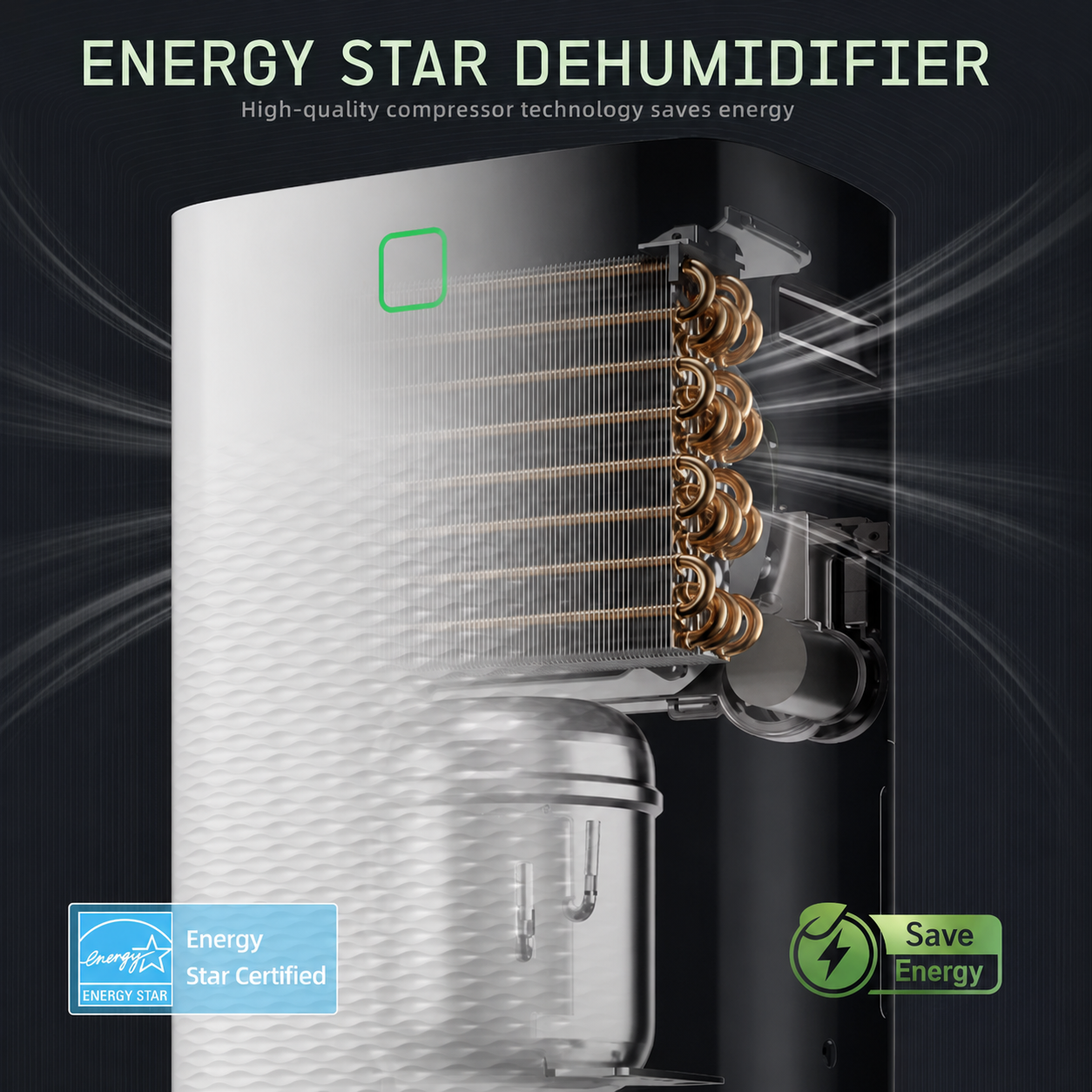 Dehumidifier Cooling Basement Drain Hose Moisture Remover