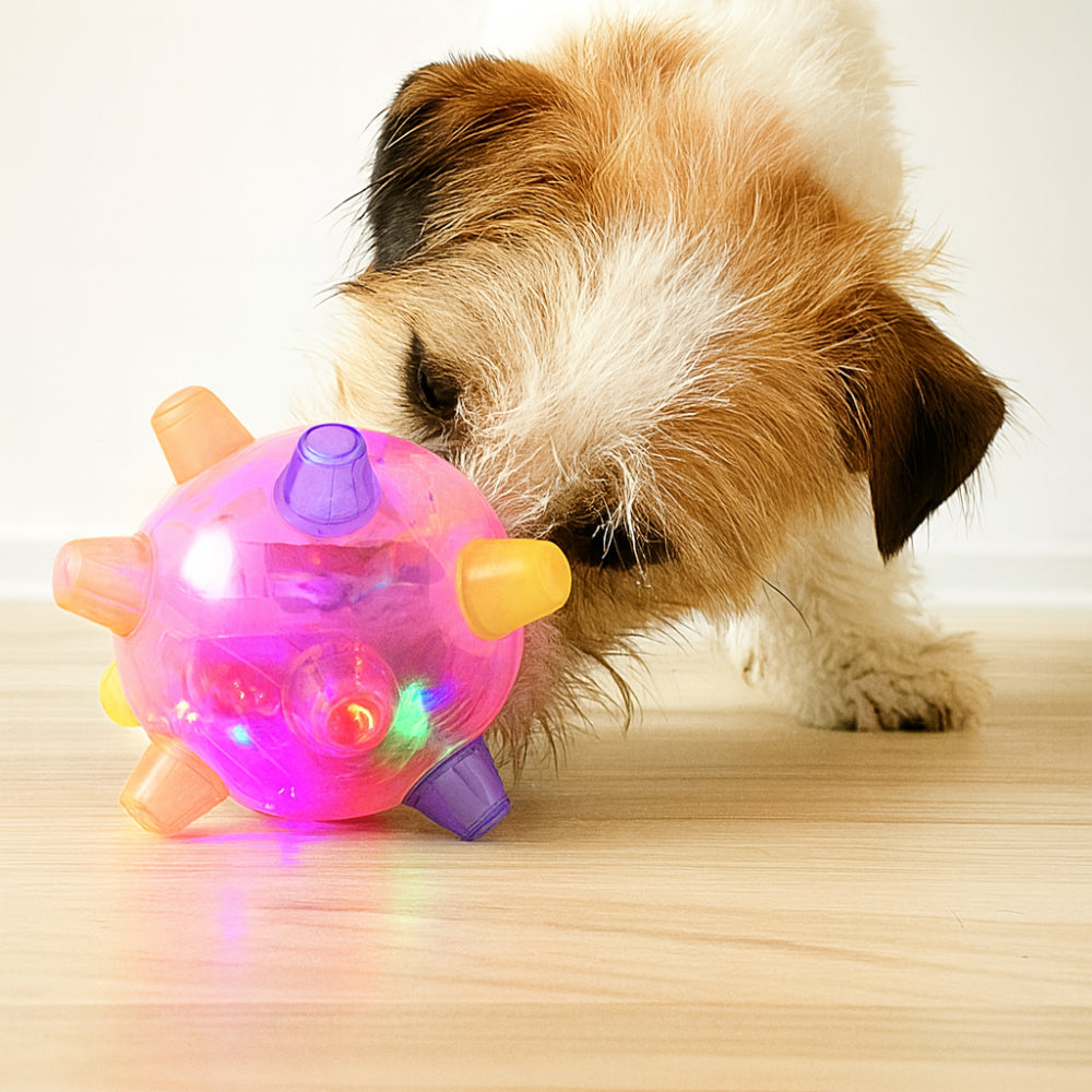 Juguete para perro pelota saltarina interactiva de plástico y caucho con luz LED