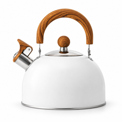 Durable Stainless Steel Kettle Large Capacity Tea Kettle