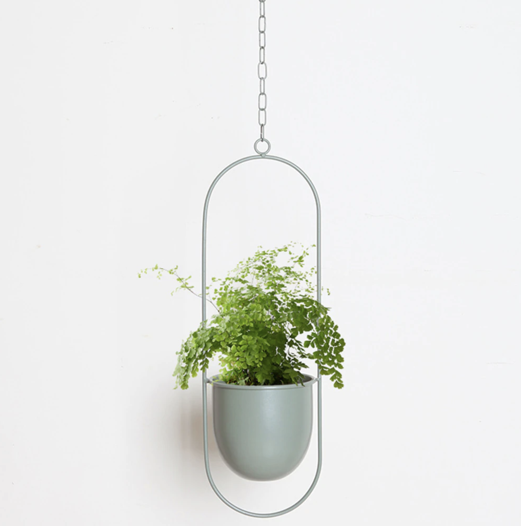 FloraFrame Hanging Planter | Modern Minimalist Iron Design