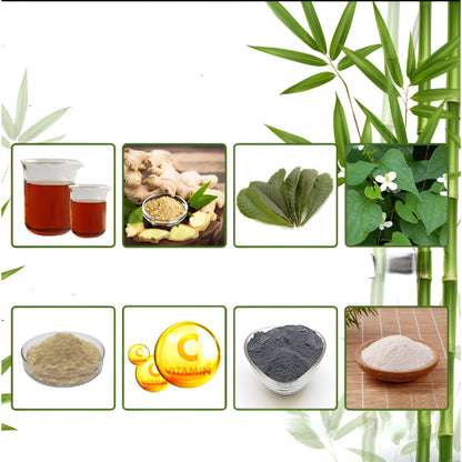 Pastilhas para Pés Conjunto de Patches de Bambu Folhas Adesivas para Cuidados da Sola
