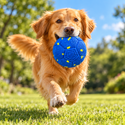 Interaktives Hundespielzeug: per USB aufladbarer Bewegungsball