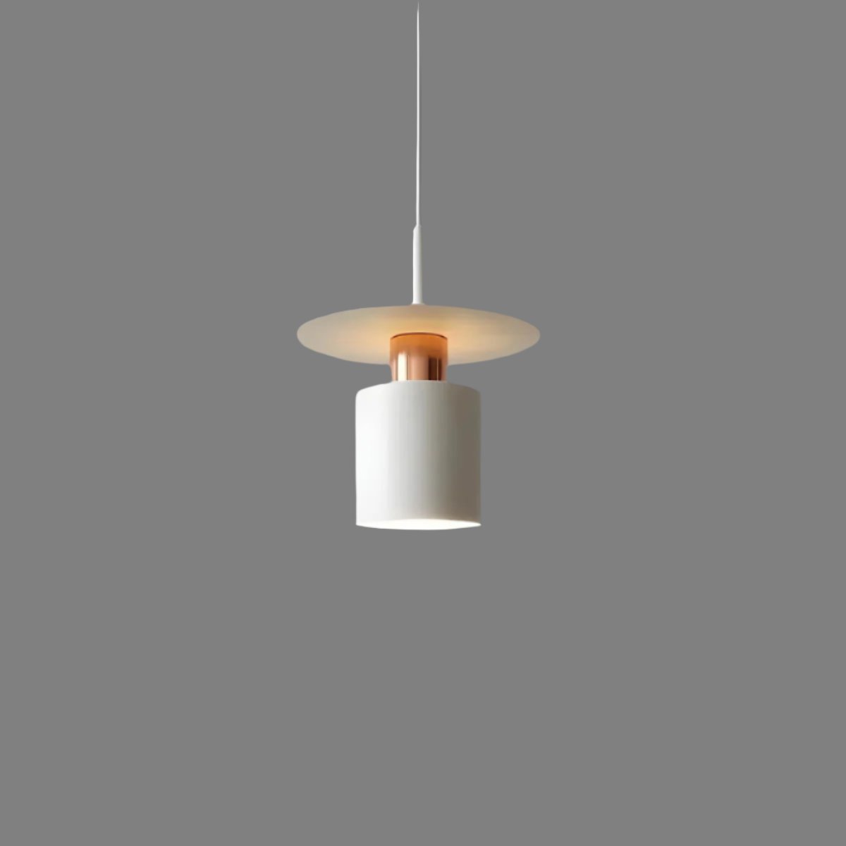 Pendant Light | Modern Minimalist Ceiling Lamp