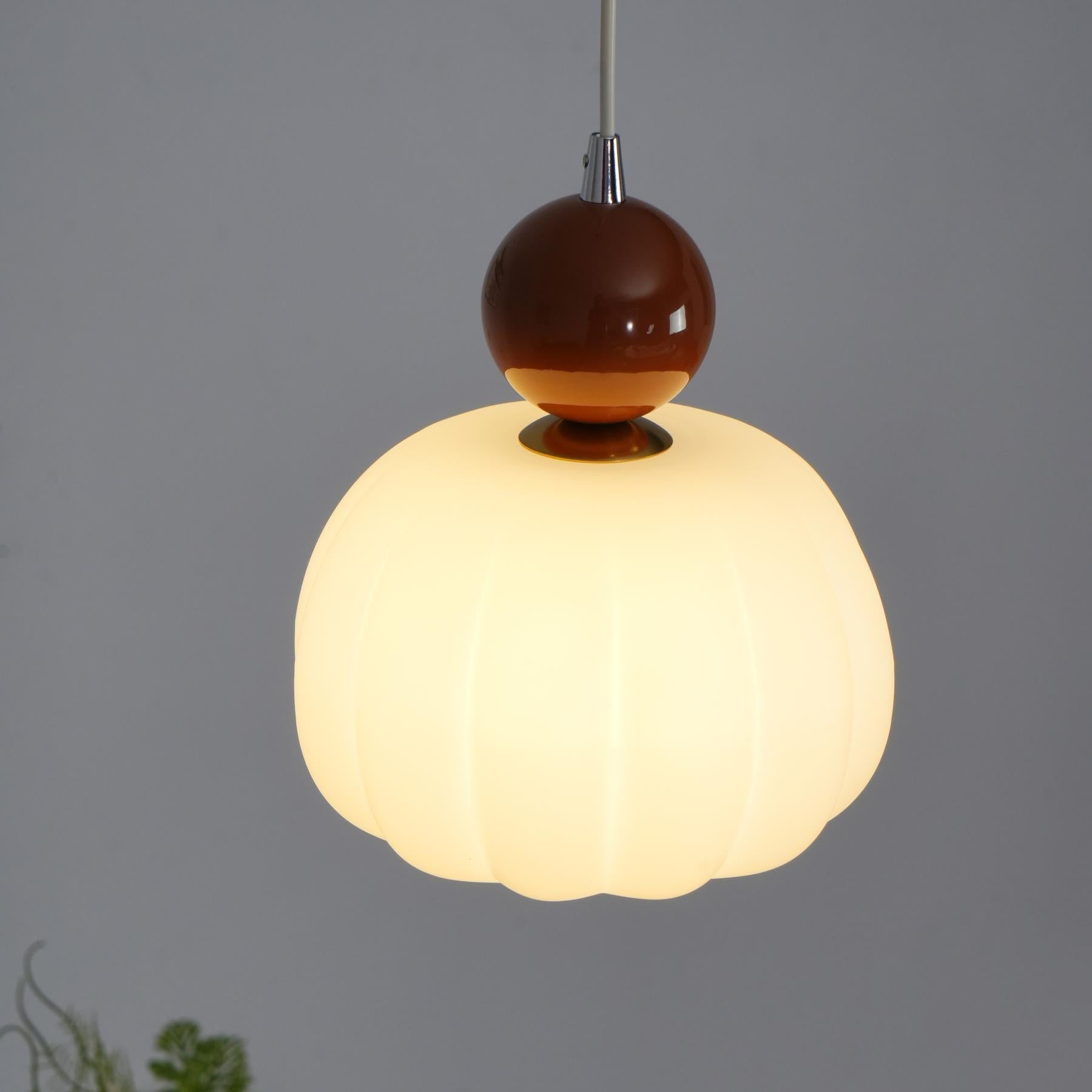 Yedra Pendant Lamp | Organic Round Acrylic Design
