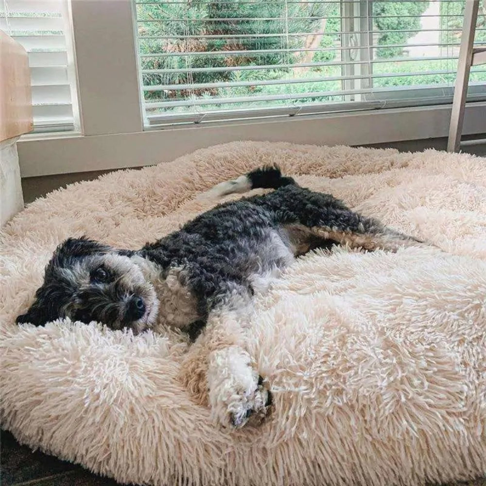 Anxiety Relieving Plush Dog Bed Calming Comfort - Image 1
