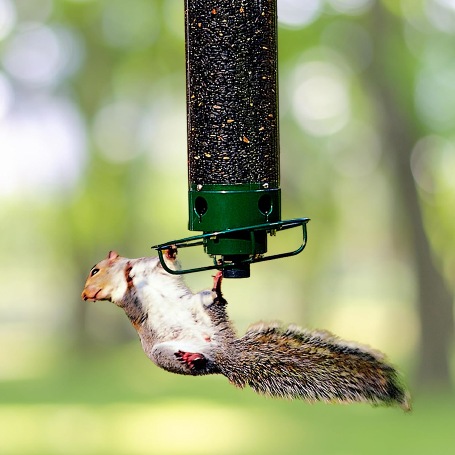 Bird Feeder Squirrel Proof Hanging Metal Wild Bird Seed Tube - Image 1