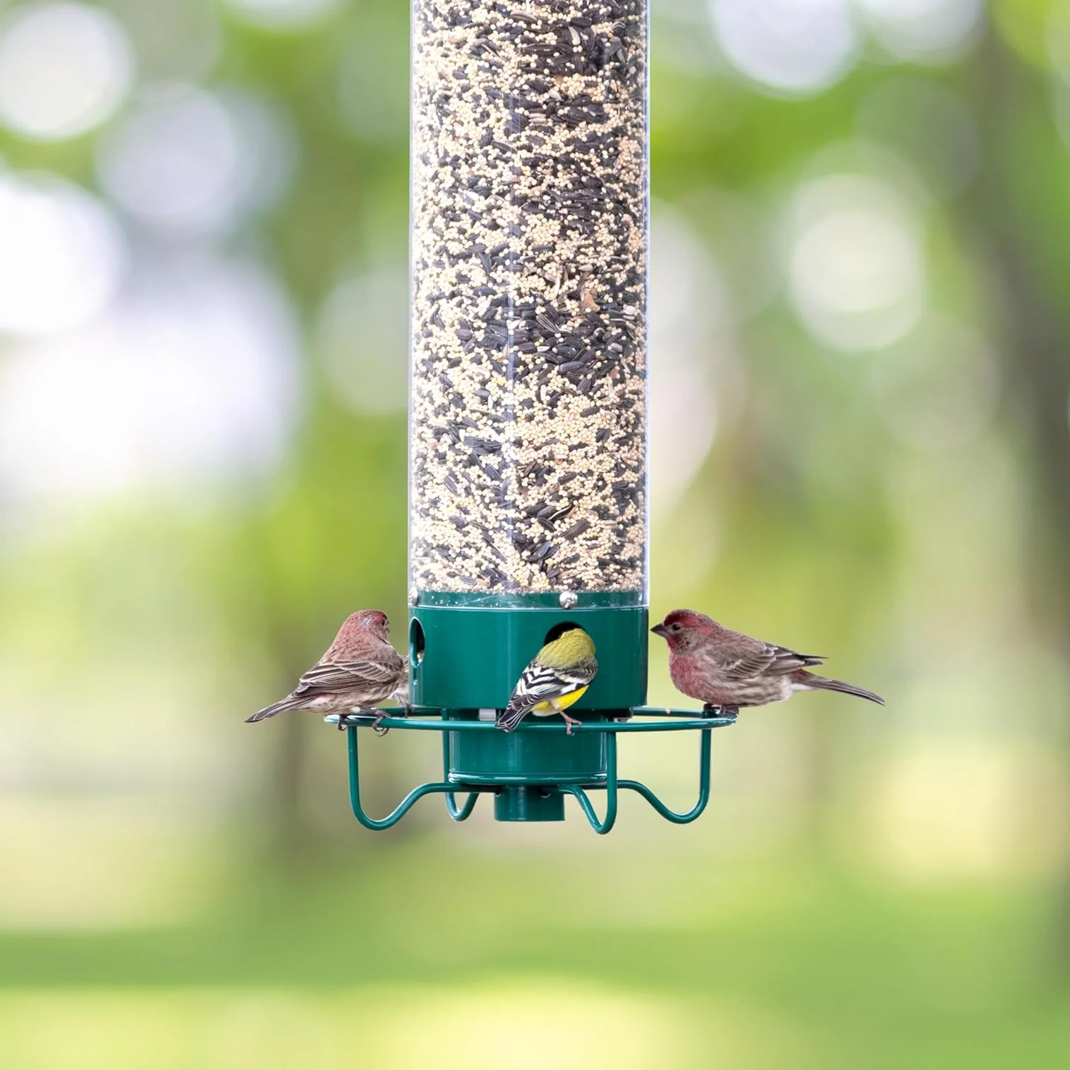 Bird Feeder Squirrel Proof Hanging Metal Wild Bird Seed Tube - Image 6