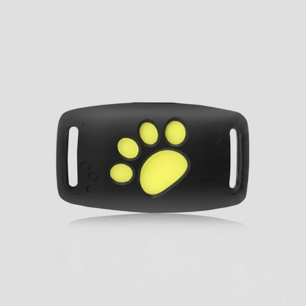 Cat GPS Tracker Collar Real Time Tracking - Image 2