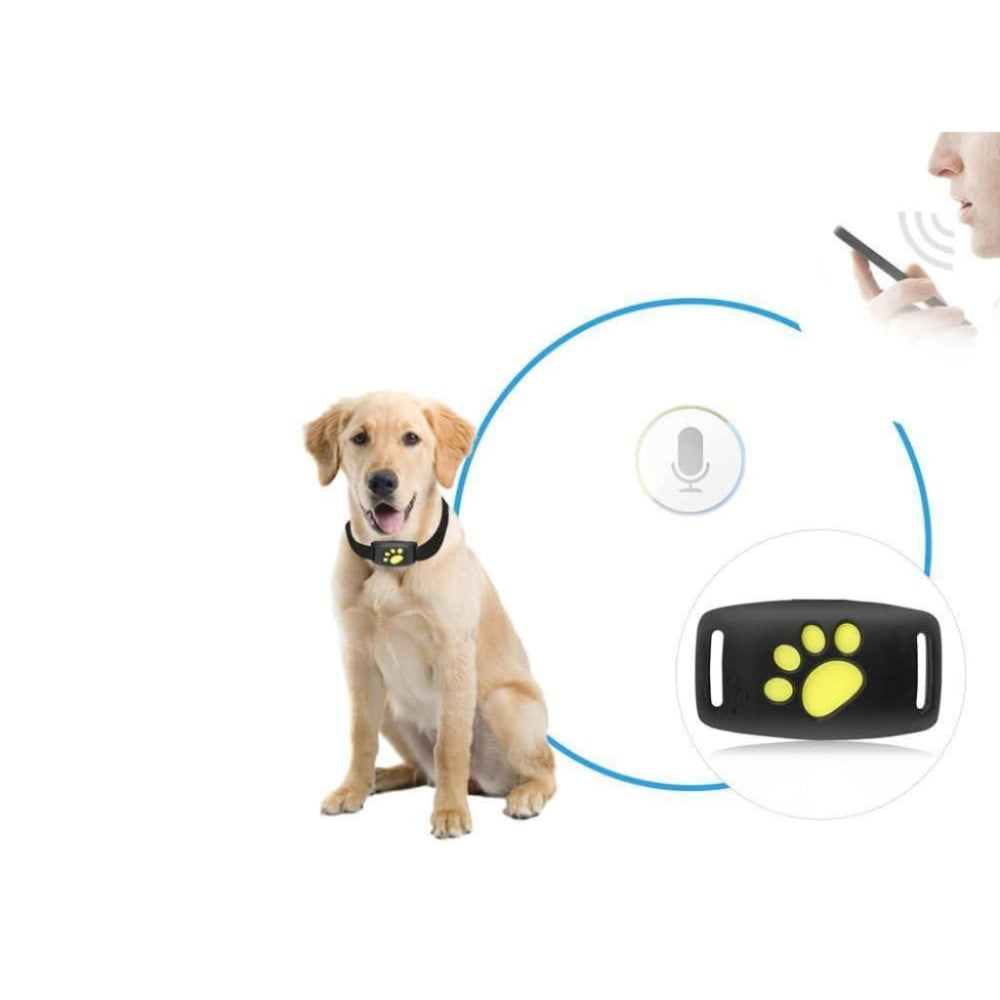 Cat GPS Tracker Collar Real Time Tracking - Image 3