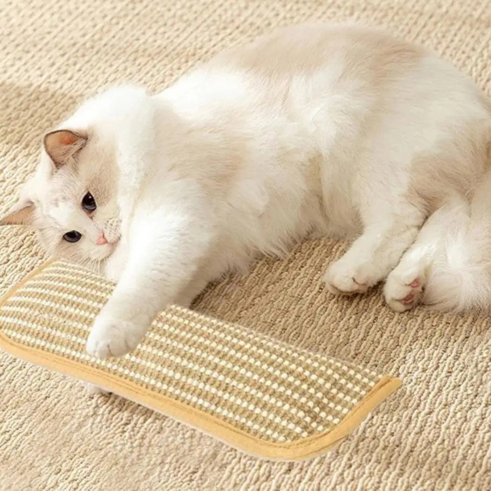 Cat Scratching Pillow Durable Scratching Surface Soft Cat Pillow - Image 1