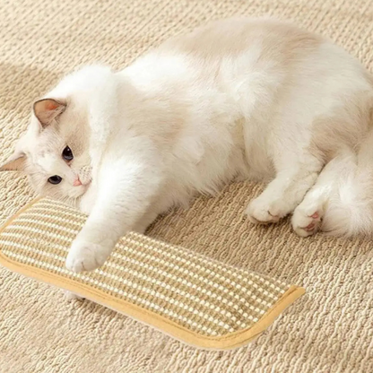 Cat Scratching Pillow Durable Scratching Surface Soft Cat Pillow - Image 1