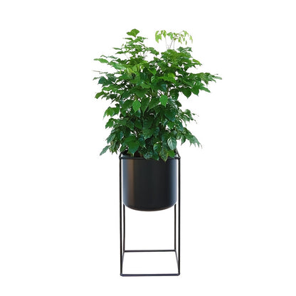 Metal indendørs planteholder | Moderne sort rektangulær planteholder