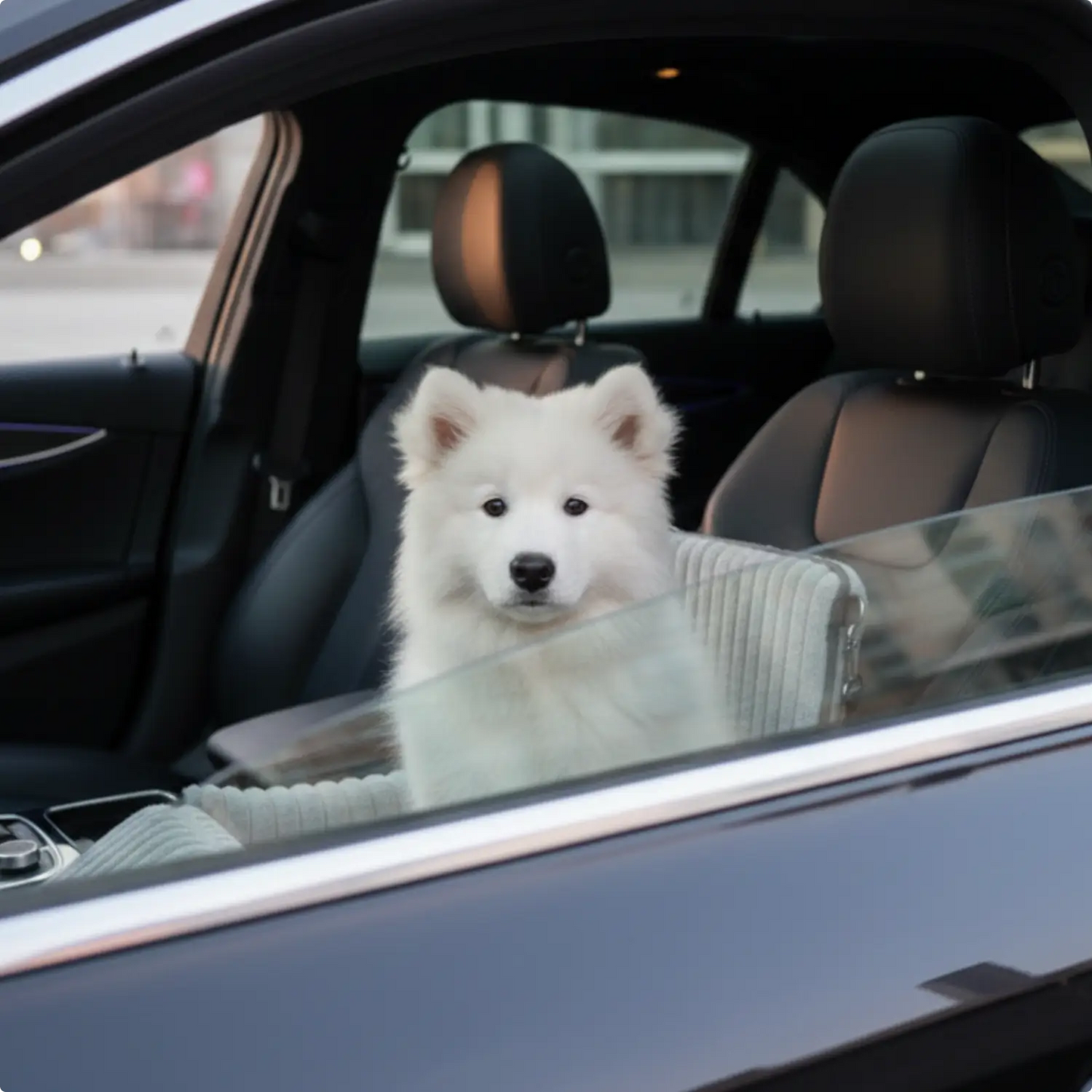 Dog Car Seat Travel Safety Booster Pet Seat - Image 4