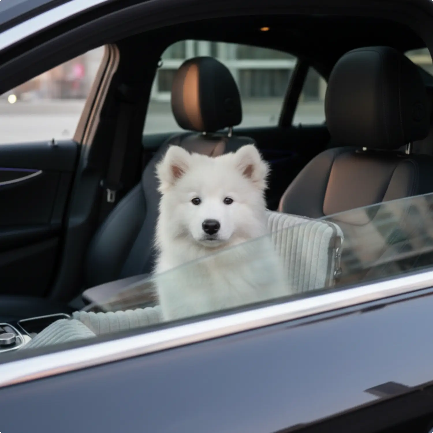 Dog Car Seat Travel Safety Booster Pet Seat - Image 4