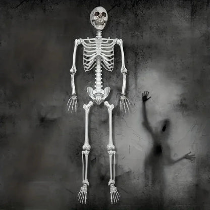 Halloween Decoration Skeleton Figure Life-Size Display - Image 4