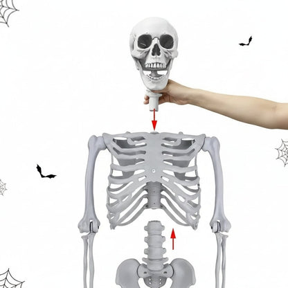 Halloween Decoration Skeleton Figure Life-Size Display - Image 5