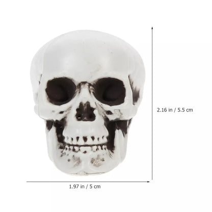 Halloween Decoration Skeleton Skulls Spooky Home Accent - Image 6