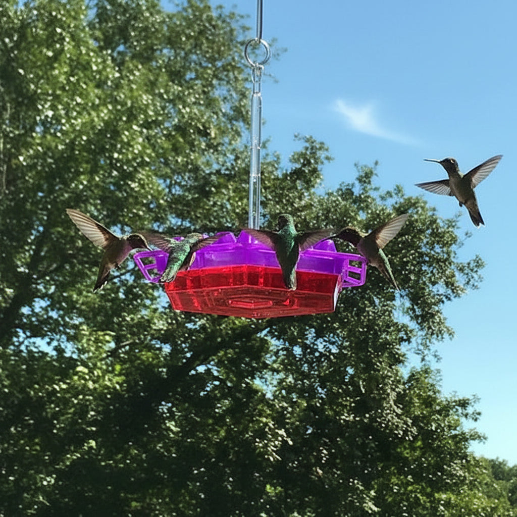 hanging planter hummingbird feeder Hummingbird Feeder Hanging Bird Outdoor – DecorsDeluxe