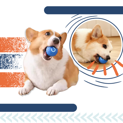 Interactive Dog Toy Durable Ball Engaging Playtime Fun - Image 4