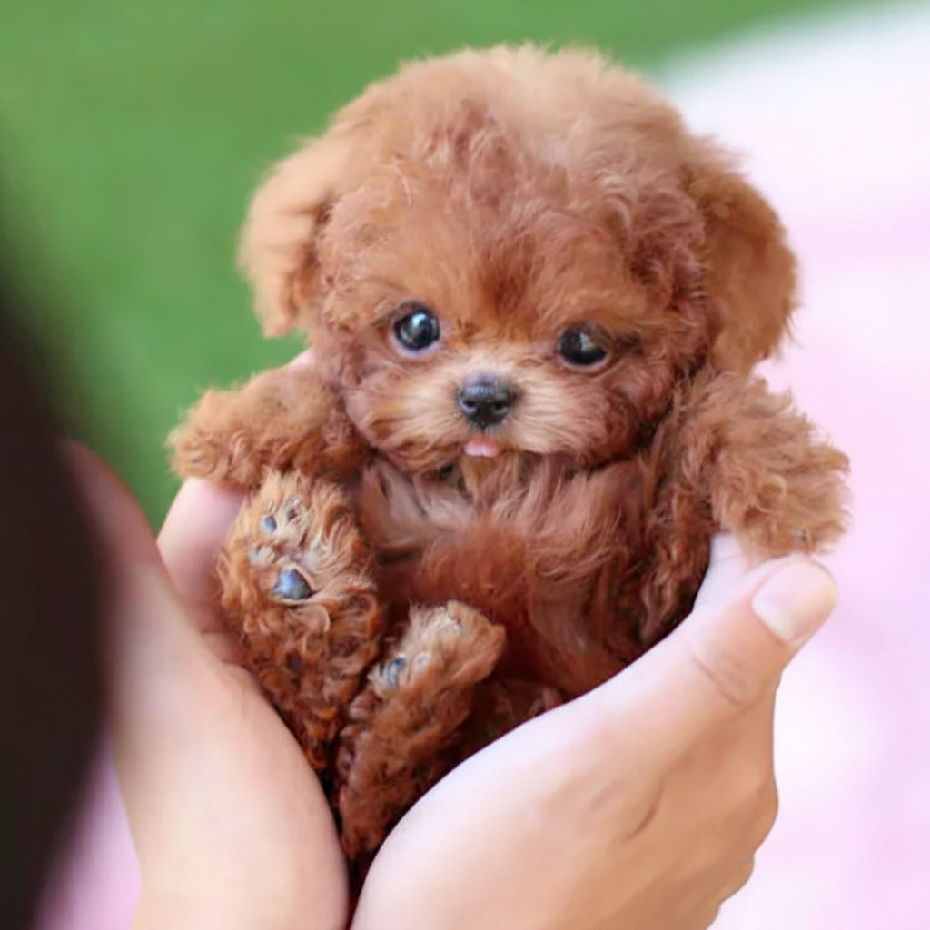 Interactive Dog Toy Robotic Puppy Lifelike Companion - Image 3
