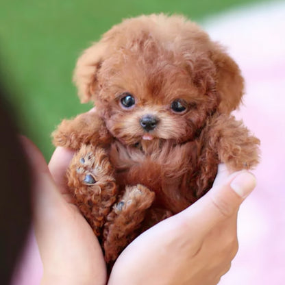 Interactive Dog Toy Robotic Puppy Lifelike Companion - Image 3