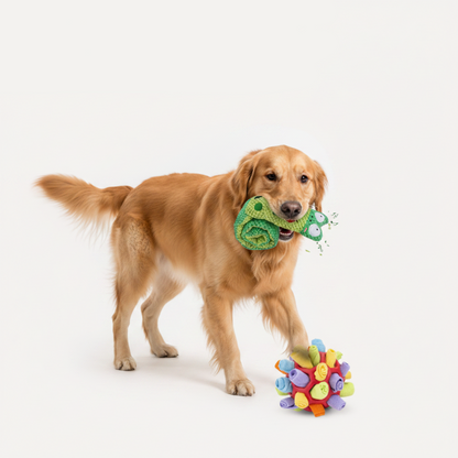 Interactive Dog Toys Durable Enrichment Bundle Fun Shapes - Image 1