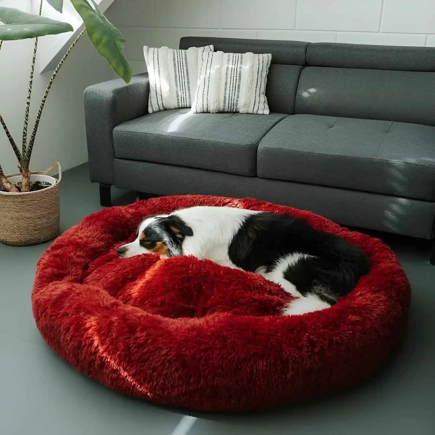 Large Dog Bed Plush Cozy Design Comfortable - Image 6