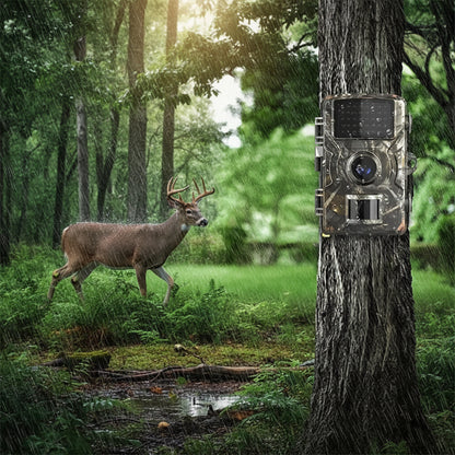 Outdoor Night Vision Wildlife Camera Infrared Motion Trail - Image 4