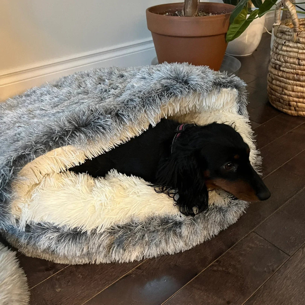 Pet Cave Bed Cozy Cat Cave Design Soft Comfort - Image 1