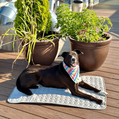 Portable Air Conditioner Cooling Mat Dogs - Image 1