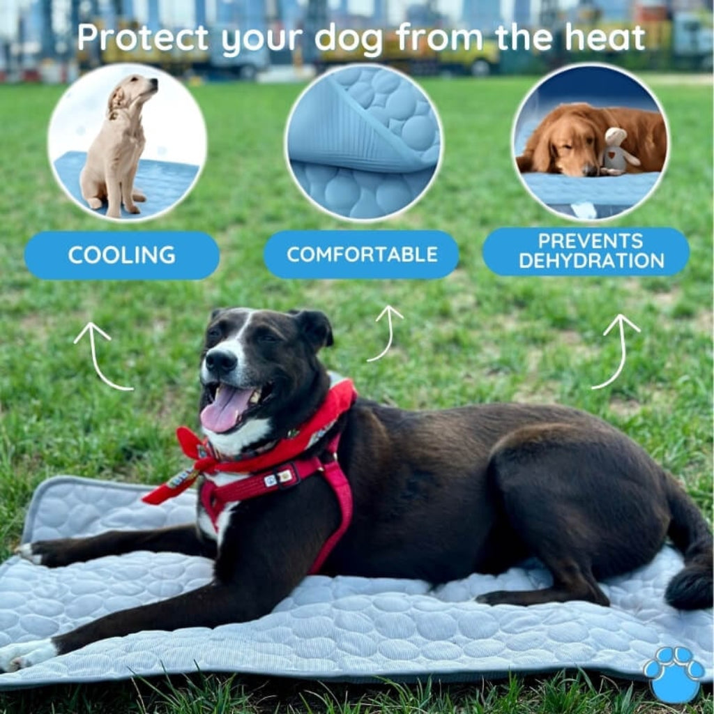 Portable Air Conditioner Cooling Mat Dogs - Image 2