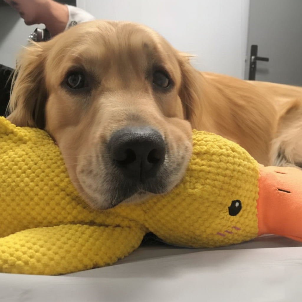Juguete calmante para perro con sonido de graznido para masticar y jugar