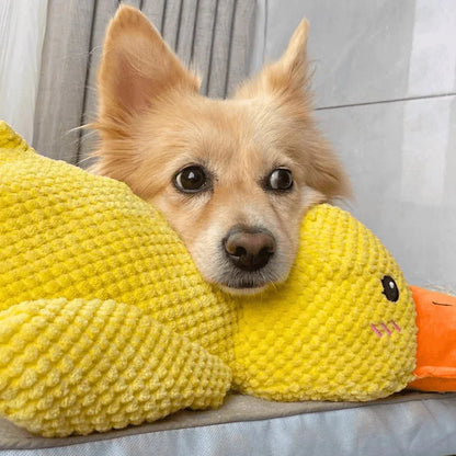 Juguete calmante para perro con sonido de graznido para masticar y jugar