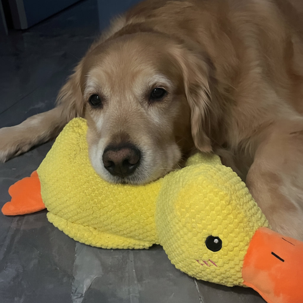 Juguete calmante para perro con sonido de graznido para masticar y jugar