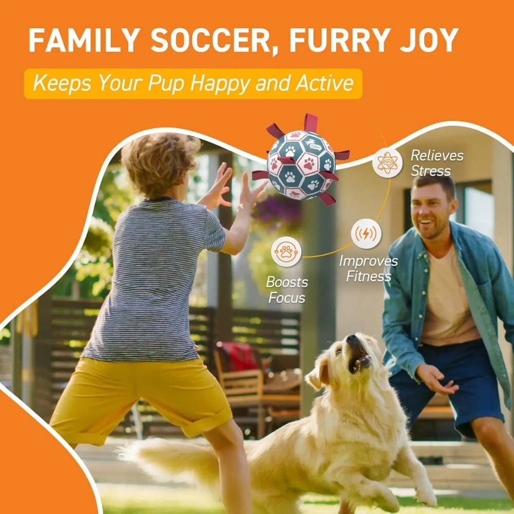 World Cup Interactive Dog Toy Durable Ball Mesh Rope Grip - Image 3